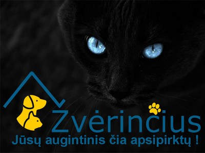 www.zverincius.lt